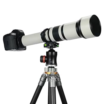 Amazon.com : EF 650-1300mm F8 Telephoto Lens JINTU- Zoom